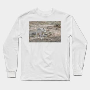 The stare Long Sleeve T-Shirt